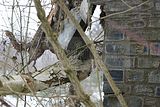 russische-garnission-07-02-2010-004