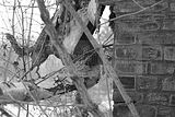 russische-garnission-07-02-2010-004
