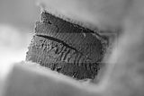 russische-garnission-07-02-2010-006