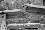 russische-garnission-07-02-2010-012