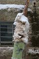 russische-garnission-14-02-2010-009