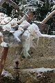 russische-garnission-14-02-2010-011