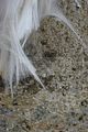 russische-garnission-14-02-2010-013