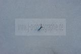 russische-garnission-14-02-2010-018