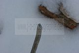russische-garnission-14-02-2010-019