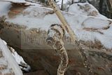 russische-garnission-14-02-2010-020