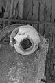 russische-garnission-14-02-2010-012