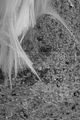 russische-garnission-14-02-2010-013