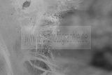 russische-garnission-14-02-2010-014