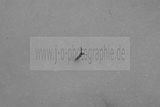 russische-garnission-14-02-2010-018