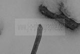 russische-garnission-14-02-2010-019