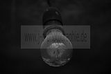 russische-garnission-21-02-2010-003