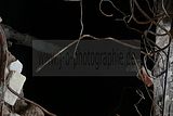 russische-garnission-28-02-2010-005