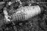 russische-garnission-28-02-2010-023