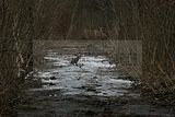 russische-garnission-14-03-2010-011