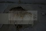 russische-garnission-14-03-2010-035