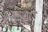 russische-garnission-14-03-2010-047