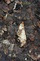russische-garnission-14-03-2010-051