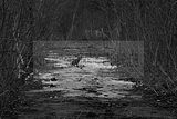 russische-garnission-14-03-2010-011