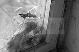 russische-garnission-14-03-2010-037