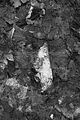 russische-garnission-14-03-2010-051