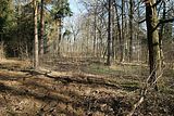 russische-garnission-02-04-2010-007