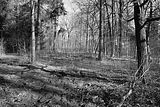 russische-garnission-02-04-2010-007