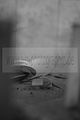 russische-garnission-19-06-2010-027