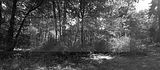 russische-garnission-15-09-2010-018