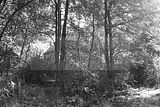 russische-garnission-15-09-2010-024