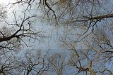 russische-garnission-04-10-2010-019