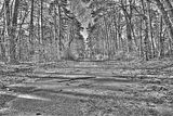 russische-garnission-04-10-2010-011