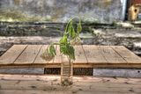 russische-garnission-29-05-2011-006