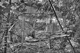 russische-garnission-29-05-2011-011