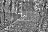 russische-garnission-27-12-2011-008