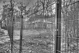 russische-garnission-27-12-2011-012