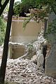russ_garnission_2009-09.13_0049