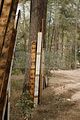 russ_garnission_2009-09.13_0076