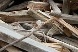 russ_garnission_2009-09.13_0093
