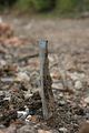 russ_garnission_2009-09.13_0109