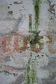 russ_garnission_2009-09.20_0033