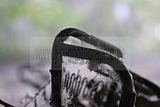 russ_garnission_2009-09.20_0036