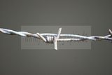 russ_garnission_2009-09.20_0037