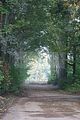 russ_garnission_2009-09.20_0041