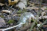 russ_garnission_2009-09.20_0073