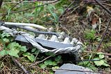 russ_garnission_2009-09.20_0129