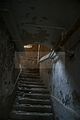 russ_garnission_2009-11.29_0046
