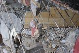 russ_garnission_2009-12.13_0013