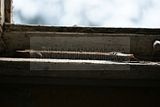 russ_garnission_2009-12.20_0006