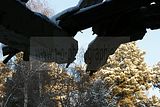 russ_garnission_2009-12.20_0011